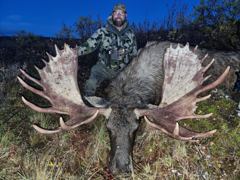 Moose Hunts – Backcountry BC And Beyond | Best Canadian Moose And Combo ...